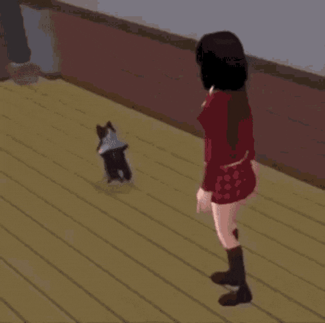 cat dancing